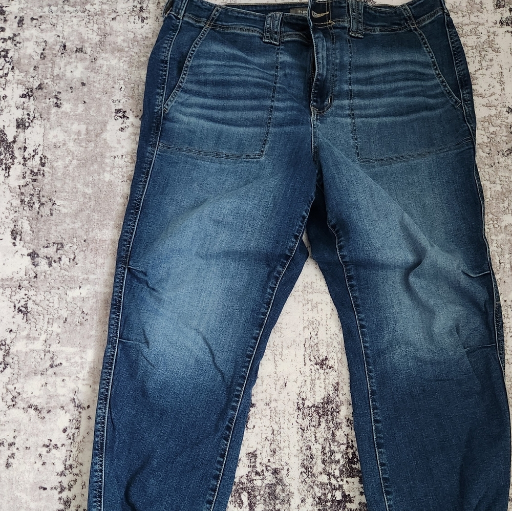 Torrid Denim Jeans